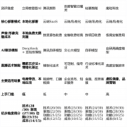 更方向于大型项目制合做